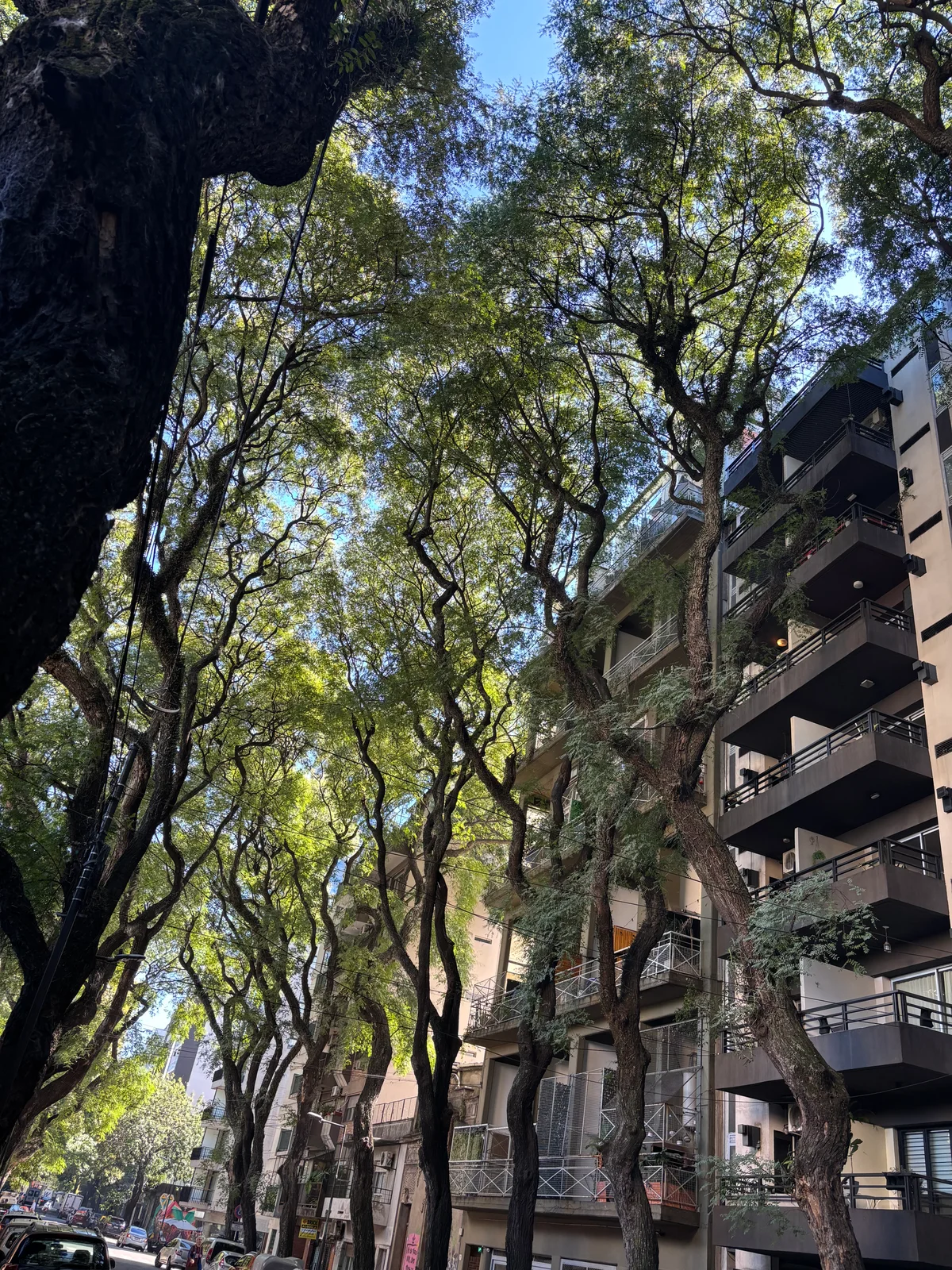 Buenos Aires, Argentina — photo 42