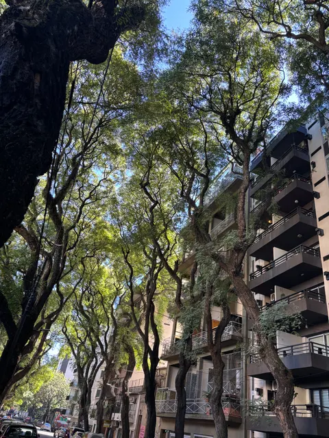 Buenos Aires, Argentina — photo 42