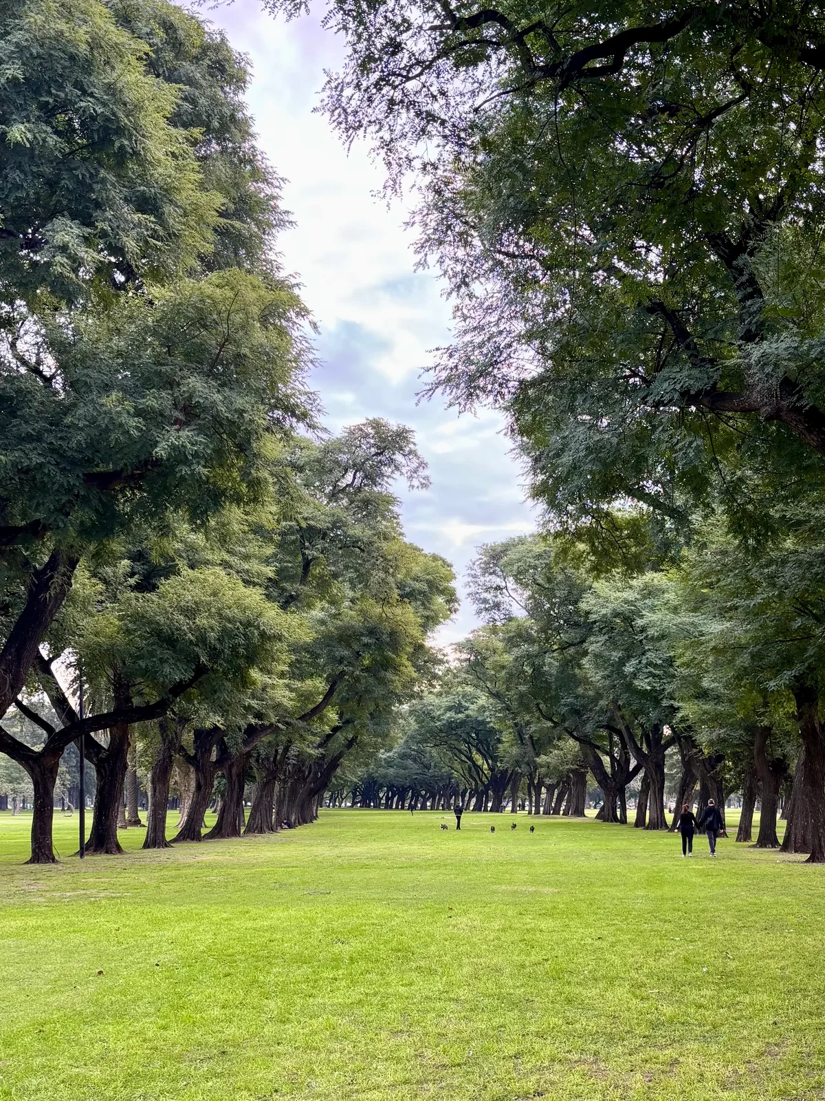 Buenos Aires, Argentina — photo 16