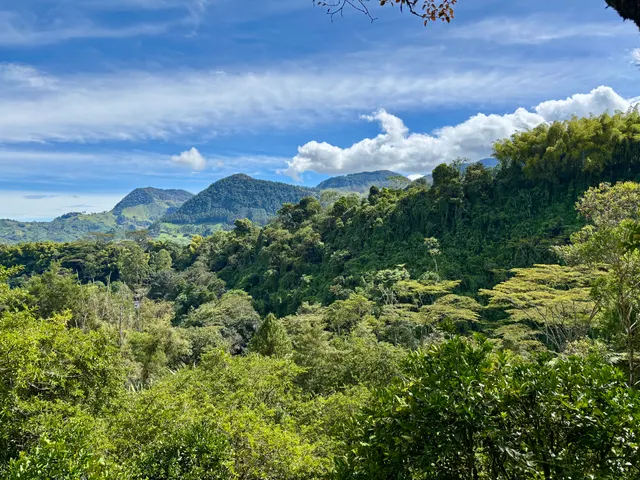 Jardín, Colombia — photo 6