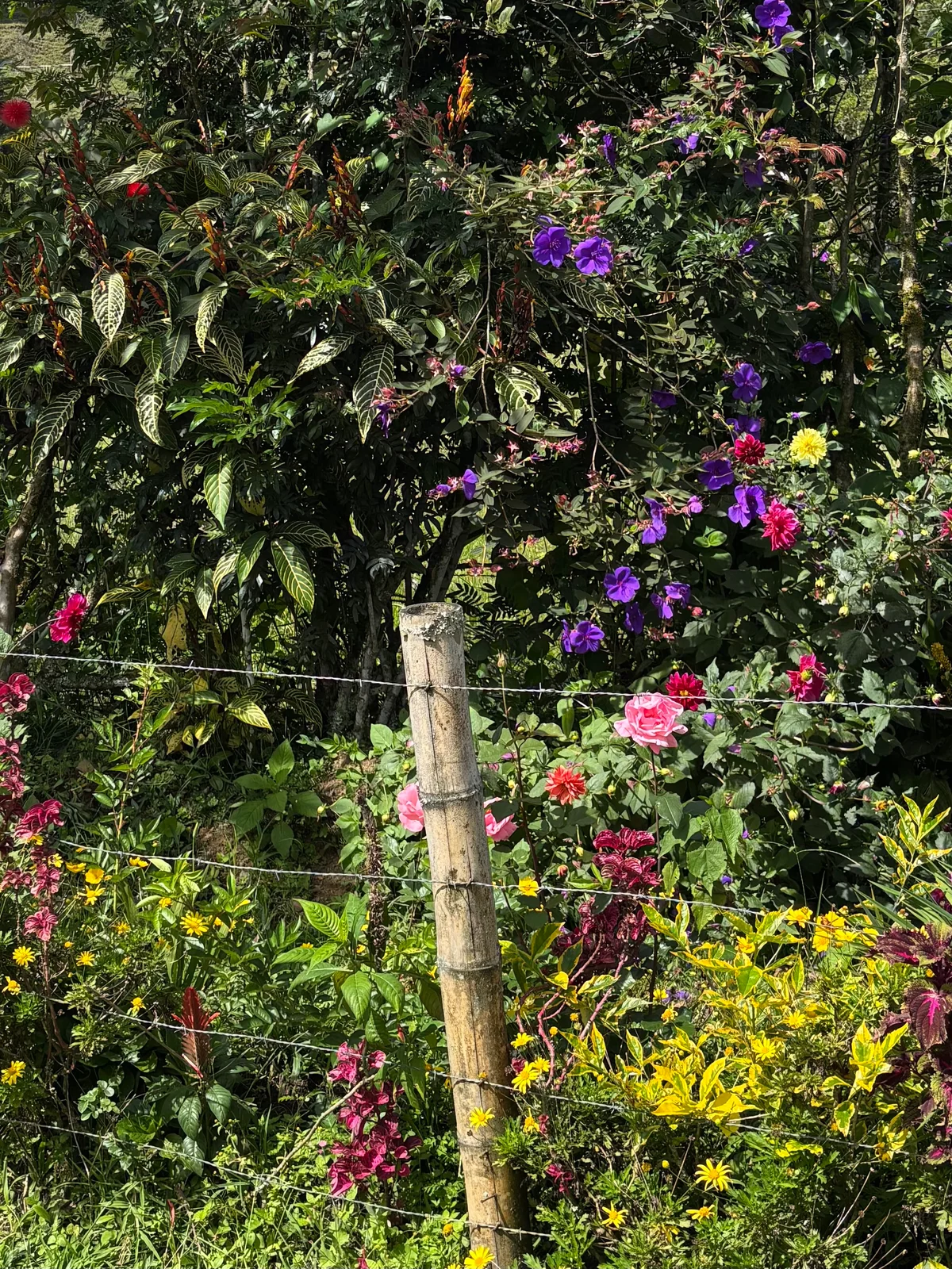Jardín, Colombia — photo 20