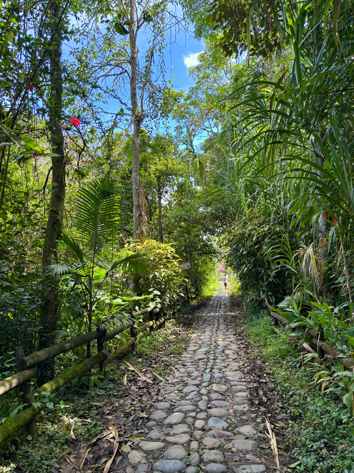 Jardín, Colombia — photo 13