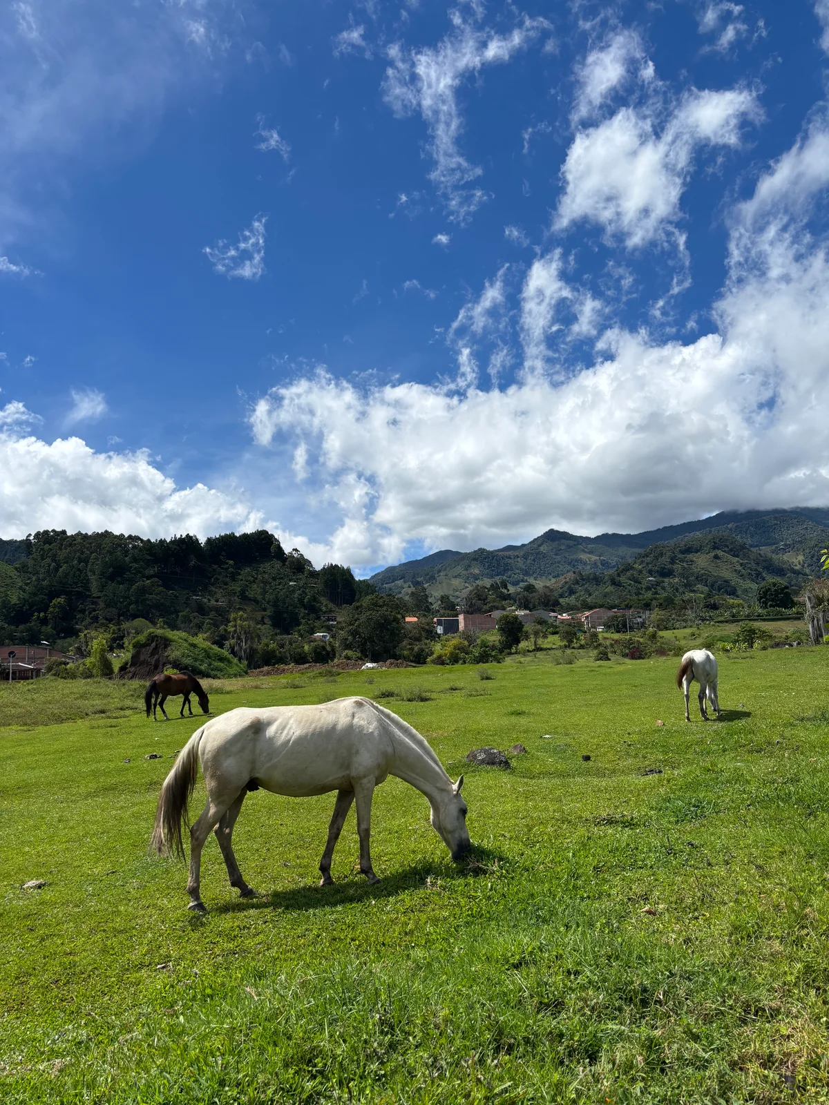 Jardín, Colombia — photo 19