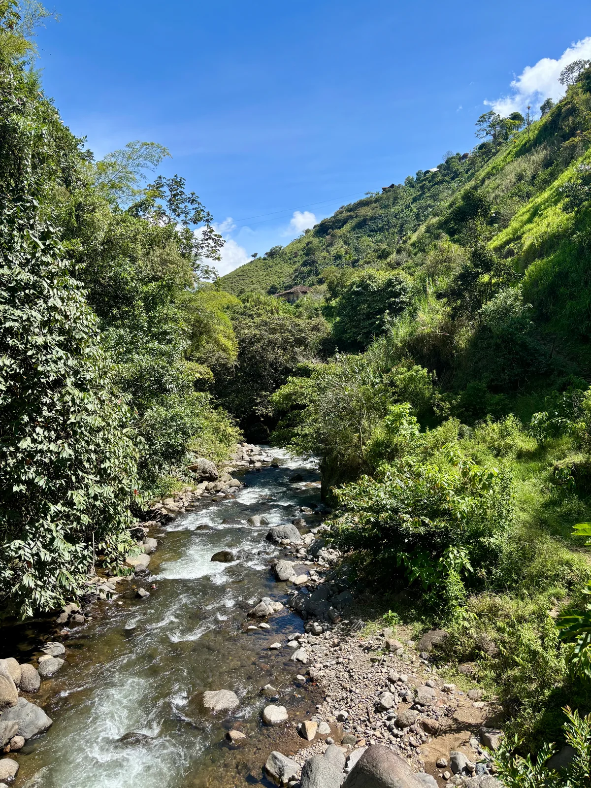 Jardín, Colombia — photo 5