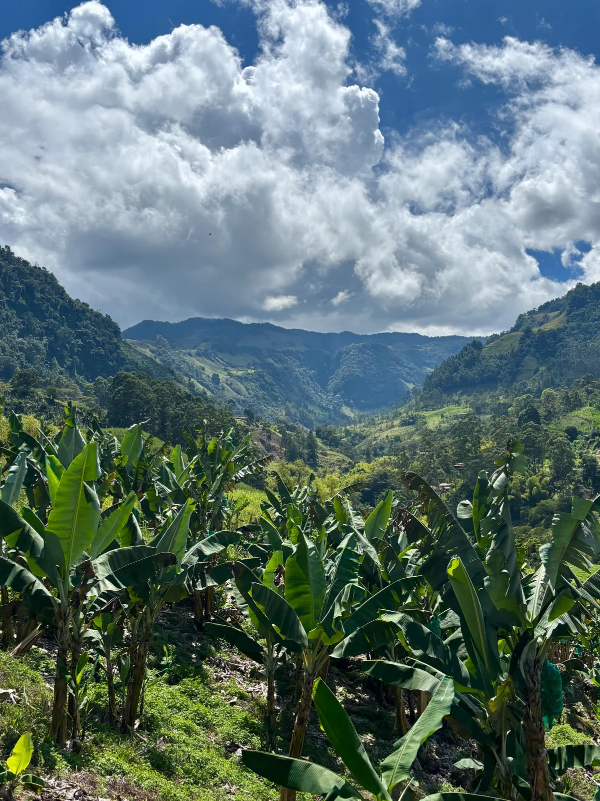 Jardín, Colombia — photo 15