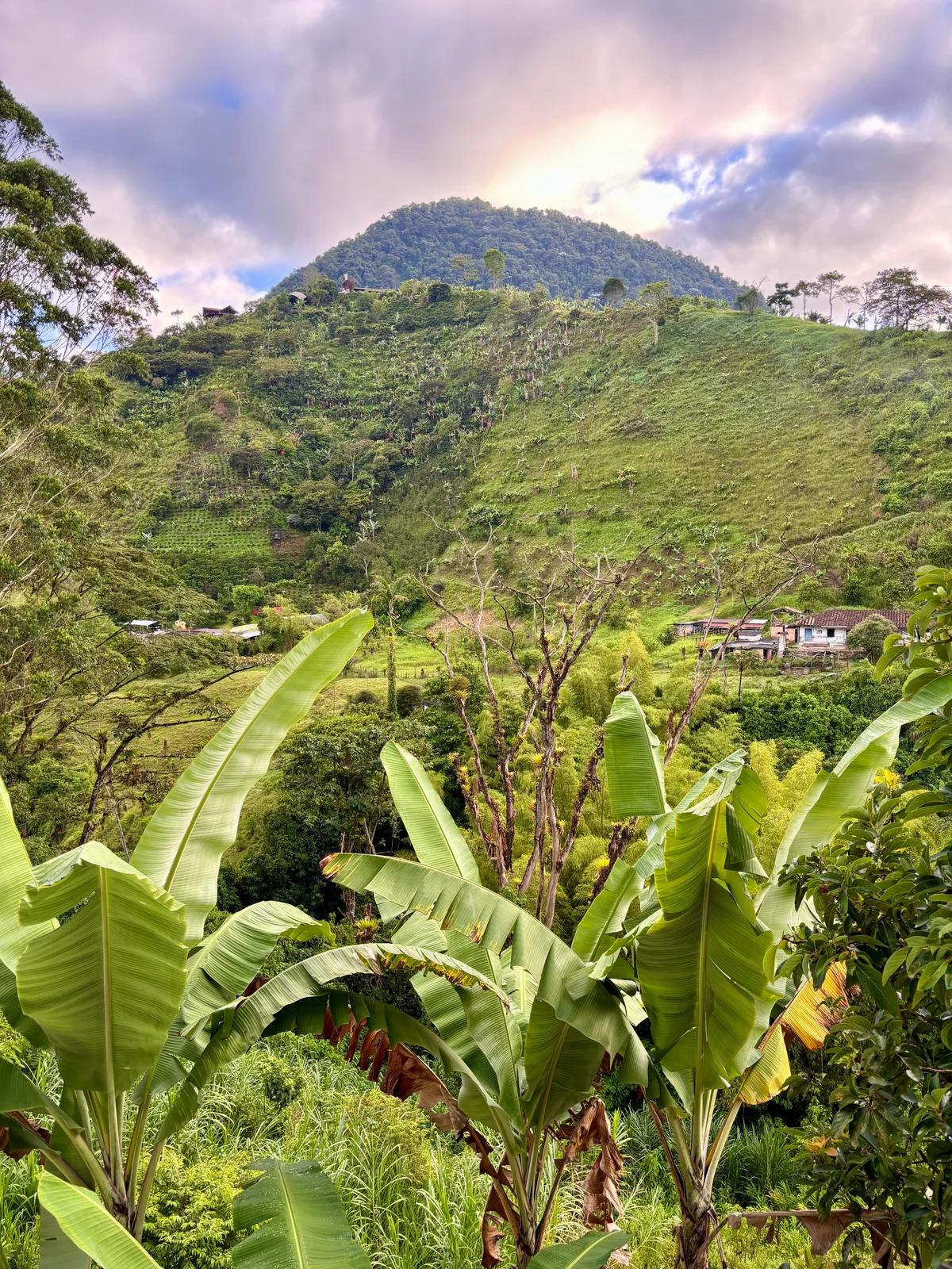 Jardín, Colombia — photo 2