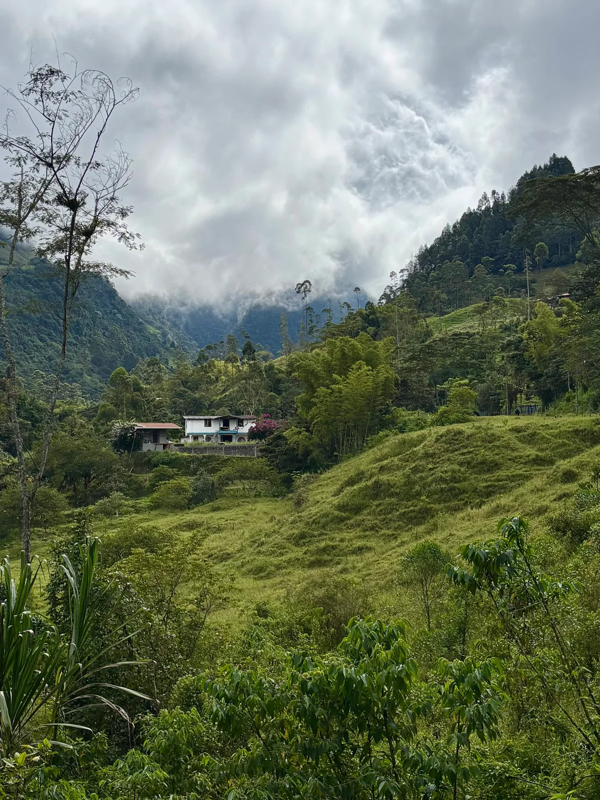 Jardín, Colombia — photo 18