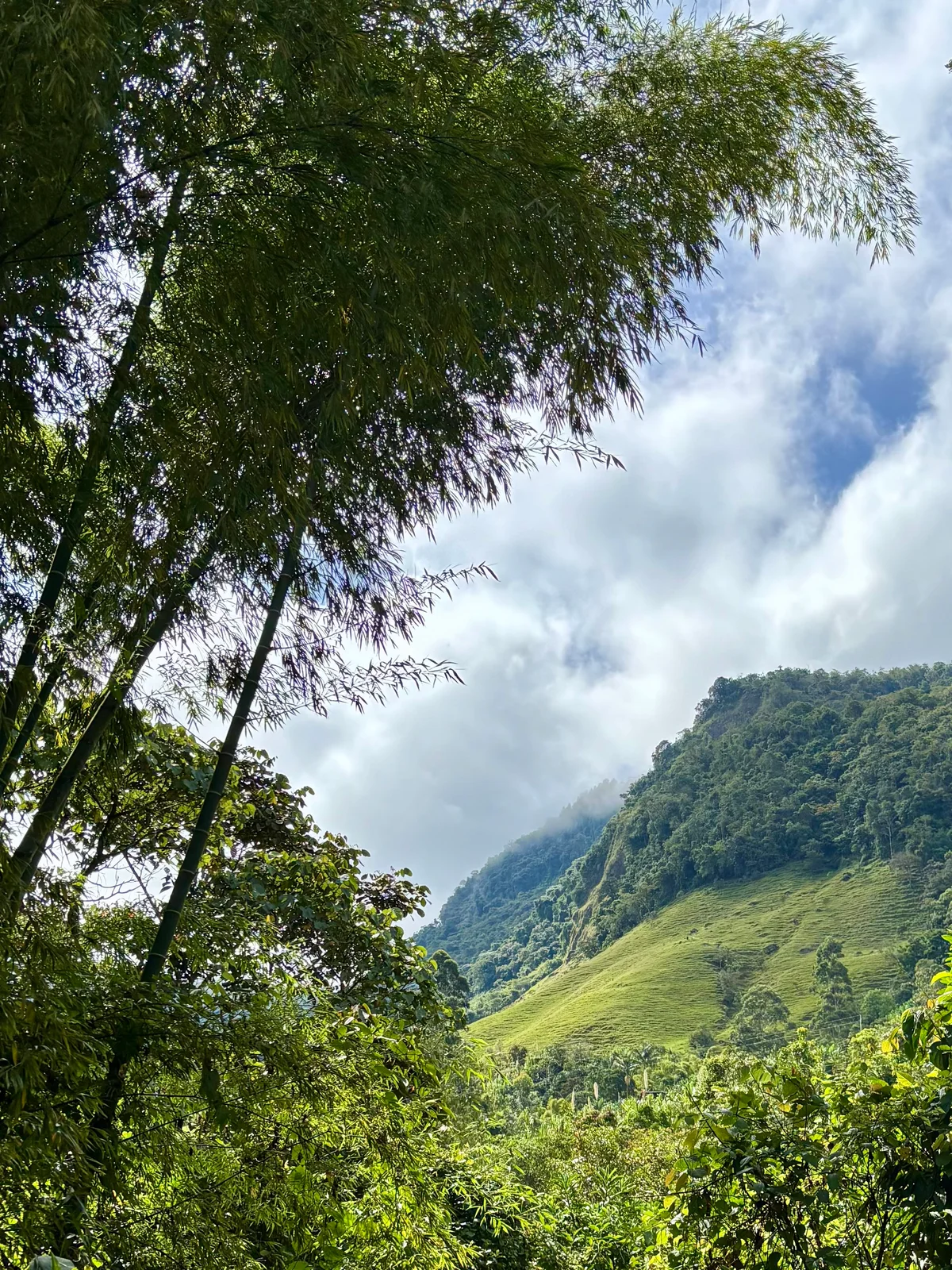 Jardín, Colombia — photo 11