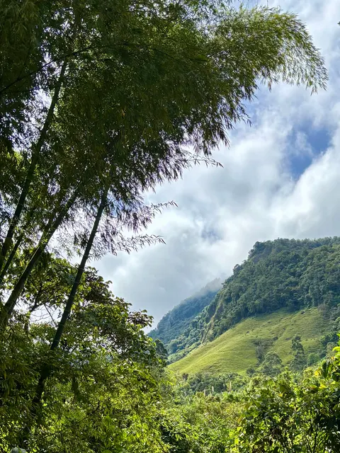 Jardín, Colombia — photo 11