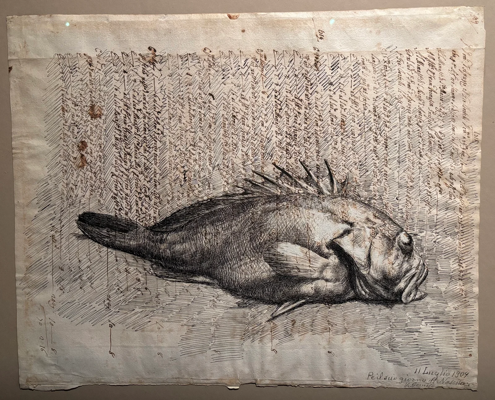 Naples, Italy — photo 8